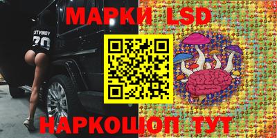гашик Анапа