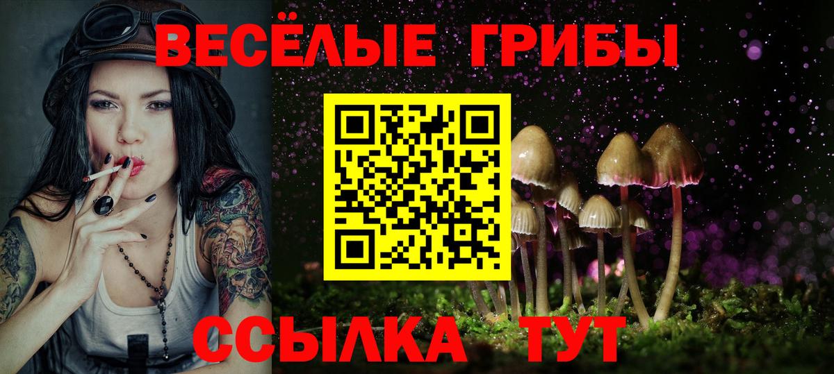 Галлюциногенные грибы прущие грибы  Галлюциногенные грибы MAGIC MUSHROOMS  Вход с VPN  Белая Калитва 